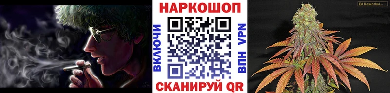 Названия наркотиков Новоузенск СК  ГАШИШ  Амфетамин  Галлюциногенные грибы  Cocaine 
