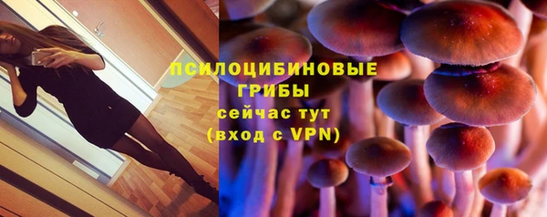 дживик Навашино