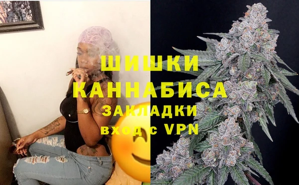 2c-b Михайлов