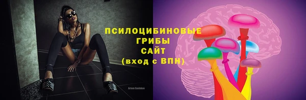 2c-b Михайлов