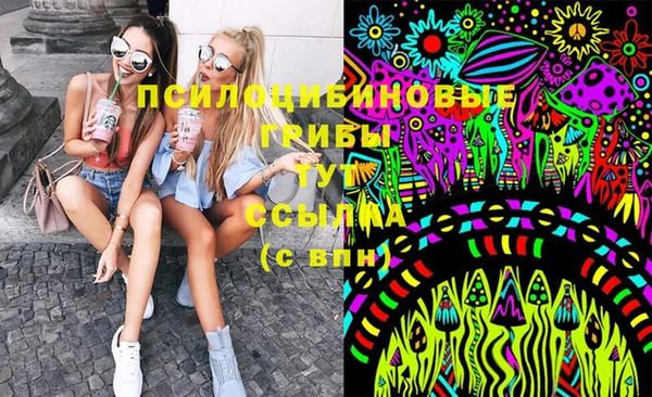 дживик Михайловск