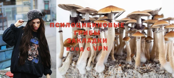 дживик Бронницы
