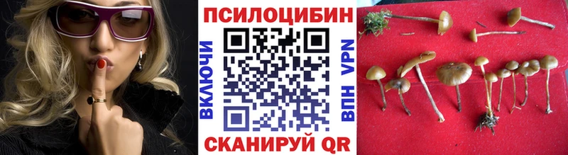 Галлюциногенные грибы MAGIC MUSHROOMS  где купить   Новоузенск 